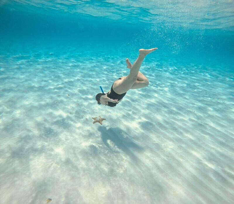 Cozumel: Palancar, Cielo, and Cielito Snorkeling PRIVATE - Final Thoughts: Is This Tour Right For You?