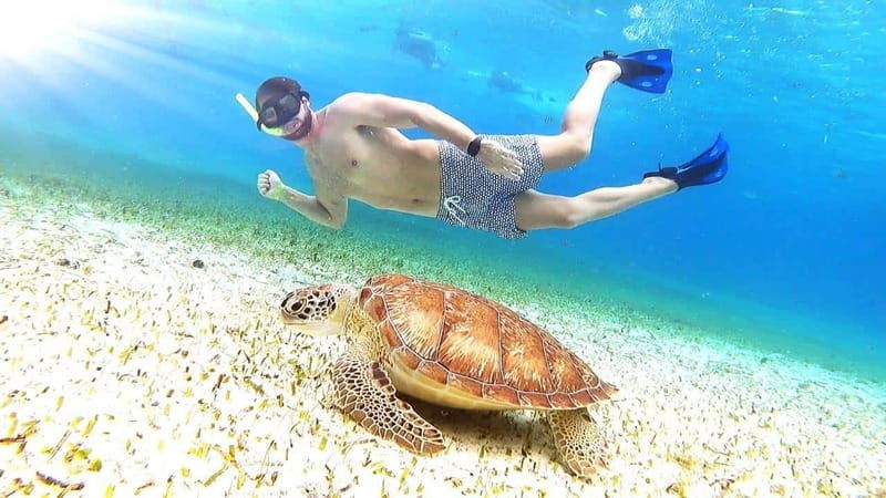 cozumel-palancar-columbia-and-el-cielo-reef-snorkeling