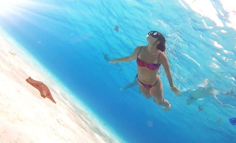 cozumel-palancar-columbia-and-el-cielo-reef-snorkeling