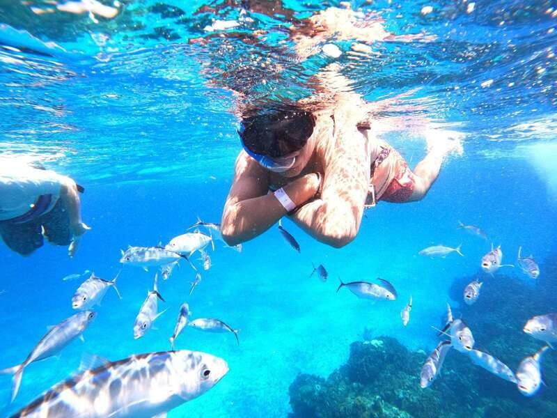 cozumel-palancar-columbia-and-el-cielo-reef-snorkeling