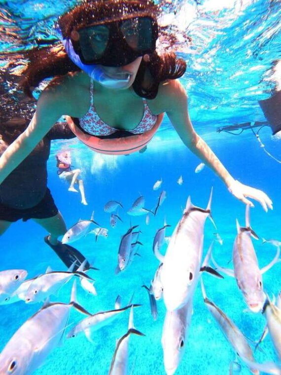 cozumel-palancar-columbia-and-el-cielo-reef-snorkeling