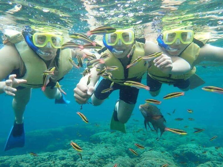 cozumel-palancar-columbia-and-el-cielo-reef-snorkeling