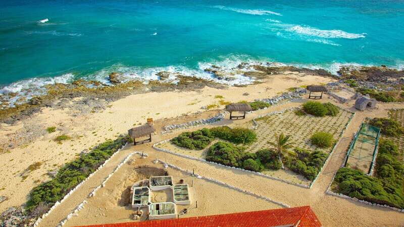 Cozumel Parks: Chankanaab, Punta Sur, San Gervasio+Transport - Final Thoughts