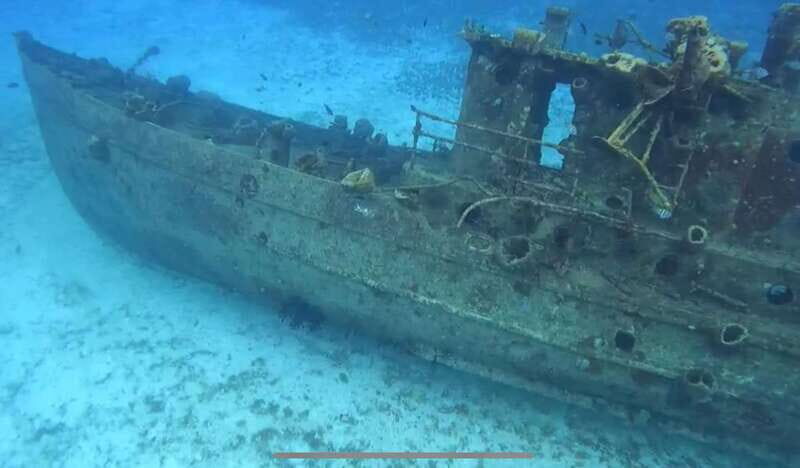 Cozumel, Passion Island: 4-Hour Private Tour - The Experience: What to Expect from the 4-Hour Private Tour