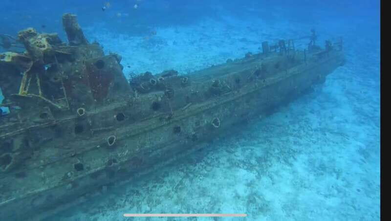 Cozumel, Passion Island: 4-Hour Private Tour - Why This Tour Offers Great Value