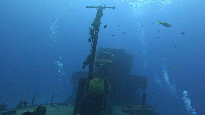 Cozumel, Passion Island: 4-Hour Private Tour - Who Should Consider This Tour?