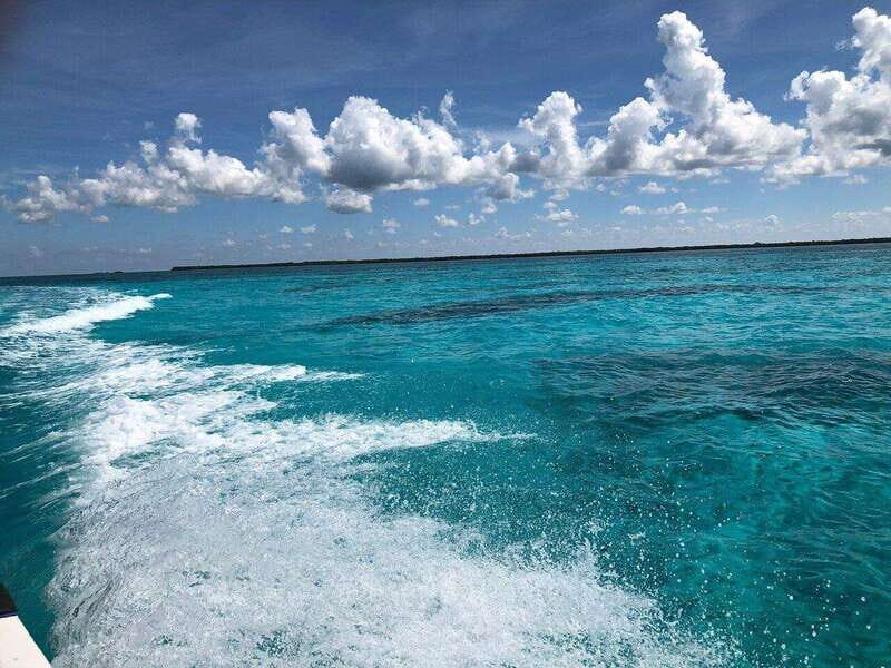 Cozumel, Passion Island: 4-Hour Private Tour - Final Thoughts