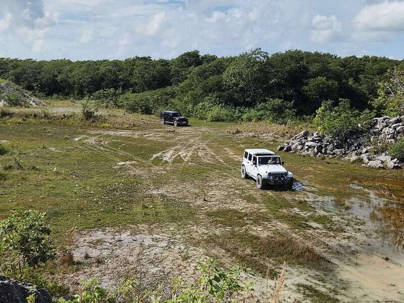 Cozumel: Private Caves and Ruins Tour with Lunch 5 Hours - Starting Off: Easy Pickup and Private Transport