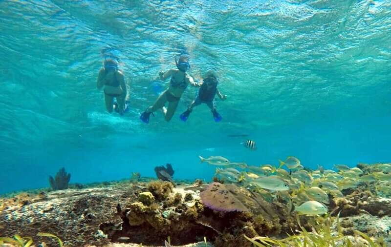 Cozumel: Private Charter Boat and Snorkel Day Trip - Who Should Book This Tour?