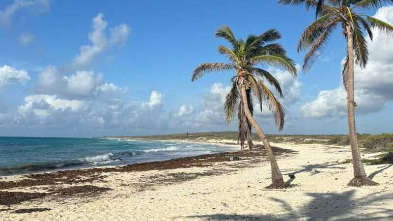 Cozumel: Private Island Tour - Final Thoughts