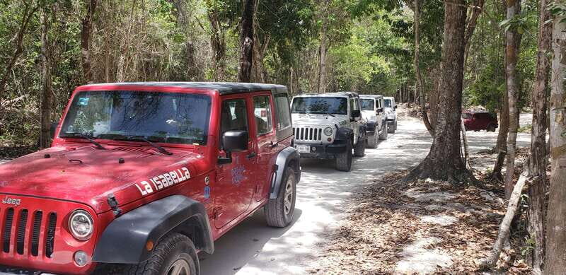 Cozumel: Private Jeep Tour Shore Excursion - Key Points