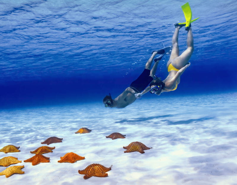 Cozumel: Private Snorkel Tour El Cielo + 3 Reefs Food Drinks - Key Points  