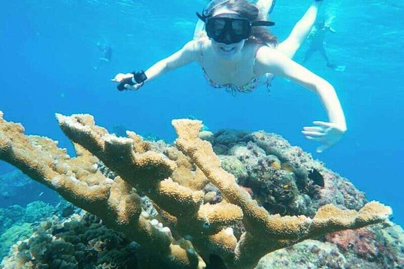 Cozumel: Private Snorkel Tour El Cielo + 3 Reefs Food Drinks - The Experience in Detail  