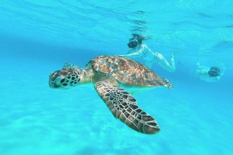 Cozumel: Private Snorkel Tour El Cielo + 3 Reefs Food Drinks - Final Thoughts  