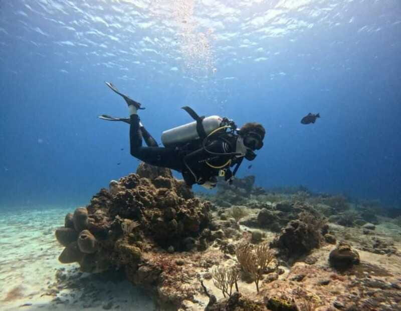 Cozumel Scuba Diving: 2 Tanks in the National Park for certified divers - Who Should Consider This Tour?  