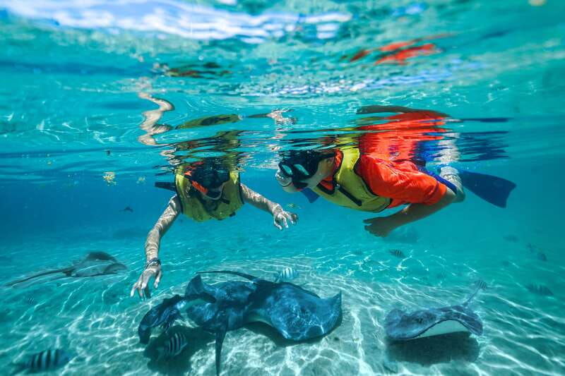 cozumel-snorkel-and-swim-with-stingrays