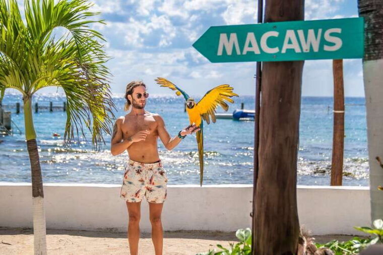 cozumel-snorkel-and-swim-with-stingrays