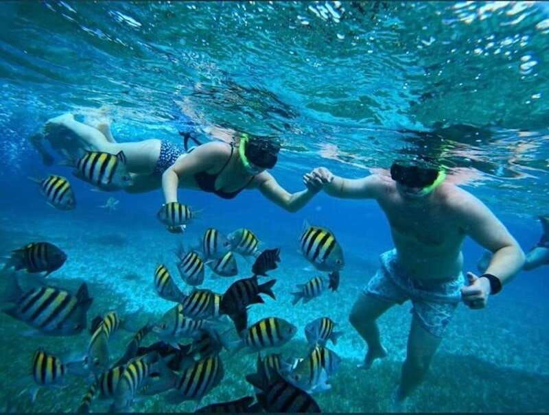 cozumel-snorkel-in-reefs-visit-el-cielo