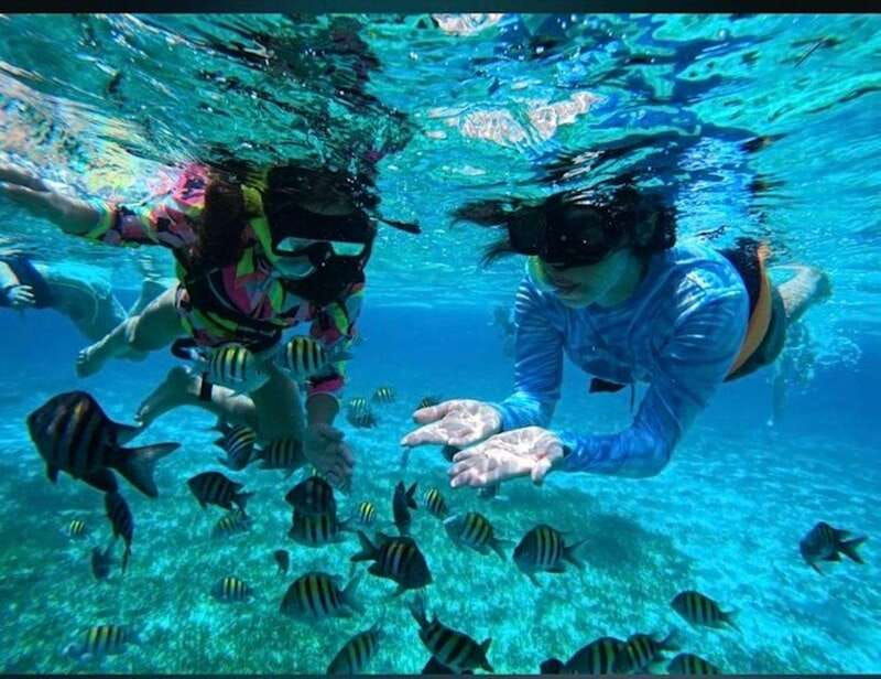 cozumel-snorkel-in-reefs-visit-el-cielo