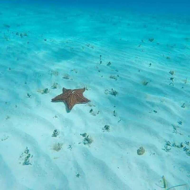 cozumel-snorkel-in-reefs-visit-el-cielo