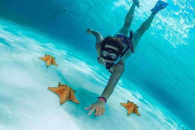 Cozumel: Snorkel Tour to El Cielo, Palancar, and Colombia - Concluding Thoughts