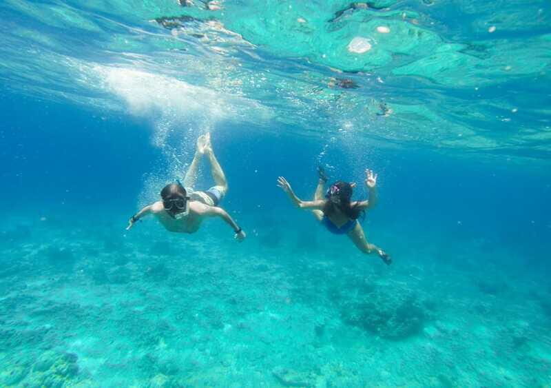 Cozumel: Snorkel Tour to El Cielo, Palancar & Colombia Reef - An In-Depth Look at the Snorkel Tour to El Cielo, Palancar & Colombia Reef