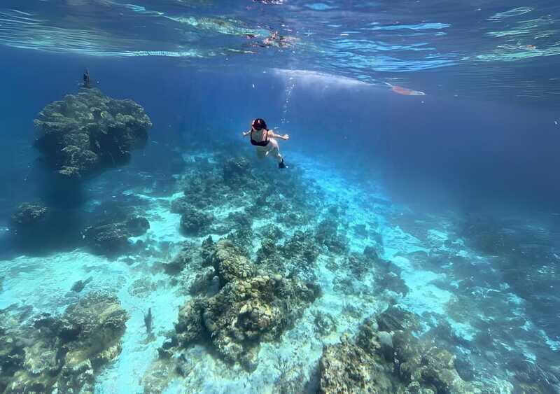Cozumel: Snorkel Tour to El Cielo, Palancar & Colombia Reef - Why This Tour Works and Who It’s Best For