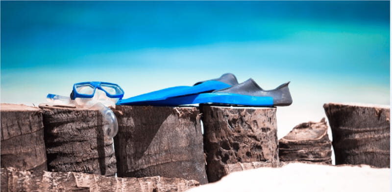 Cozumel: Snorkeling Adventure - Deep Dive: Why the Coral Gardens and Marine Life Matter