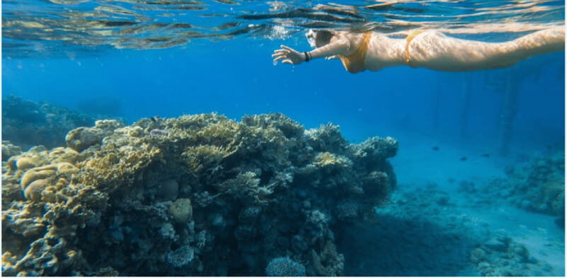 Cozumel: Snorkeling Adventure - The Value of This Experience