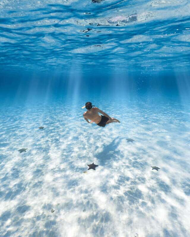 Cozumel: Snorkeling and Beach Break Tour - An In-Depth Look at the Cozumel Snorkeling and Beach Break Tour