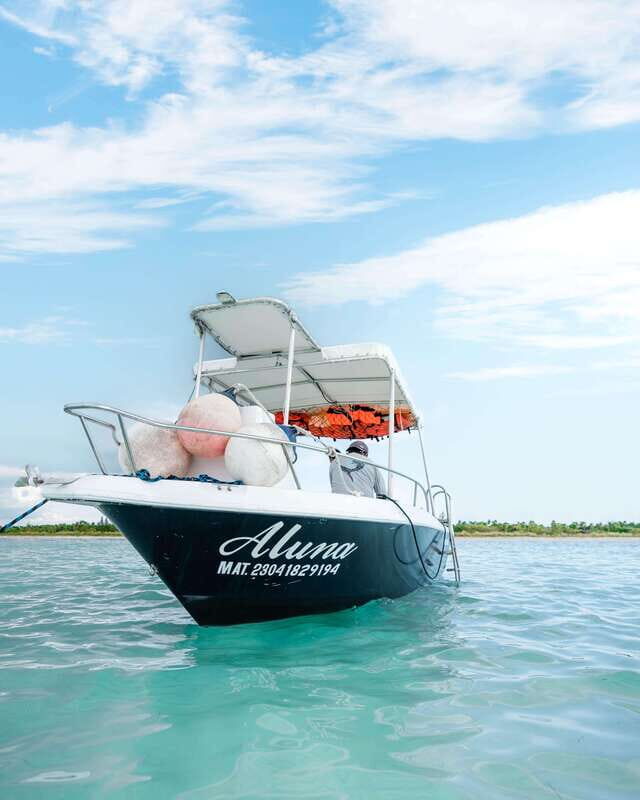 Cozumel: Snorkeling and Beach Break Tour - The Practicalities: Timing, Group Size, and Cost