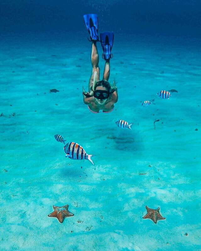 Cozumel: Snorkeling and Beach Break Tour - Final Thoughts
