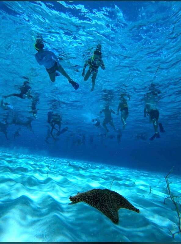 cozumel-snorkeling-in-reefs-visit-to-el-cielo