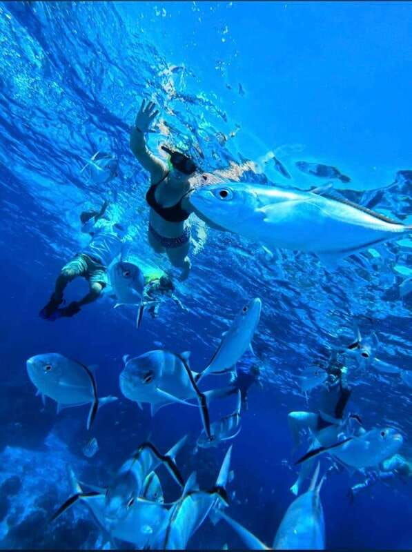 cozumel-snorkeling-in-reefs-visit-to-el-cielo