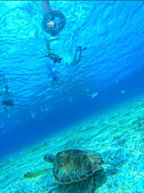 cozumel-snorkeling-in-reefs-visit-to-el-cielo