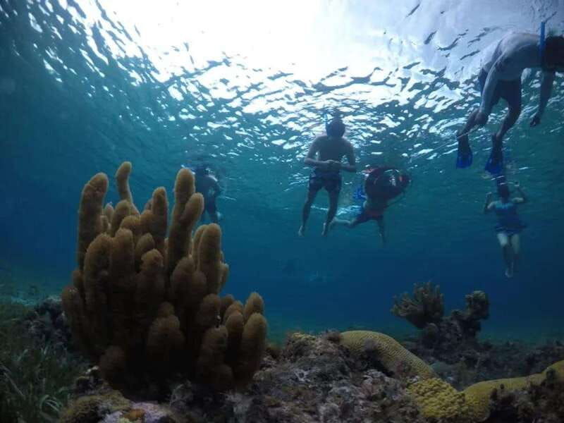 cozumel-snorkeling-in-reefs-visit-to-el-cielo