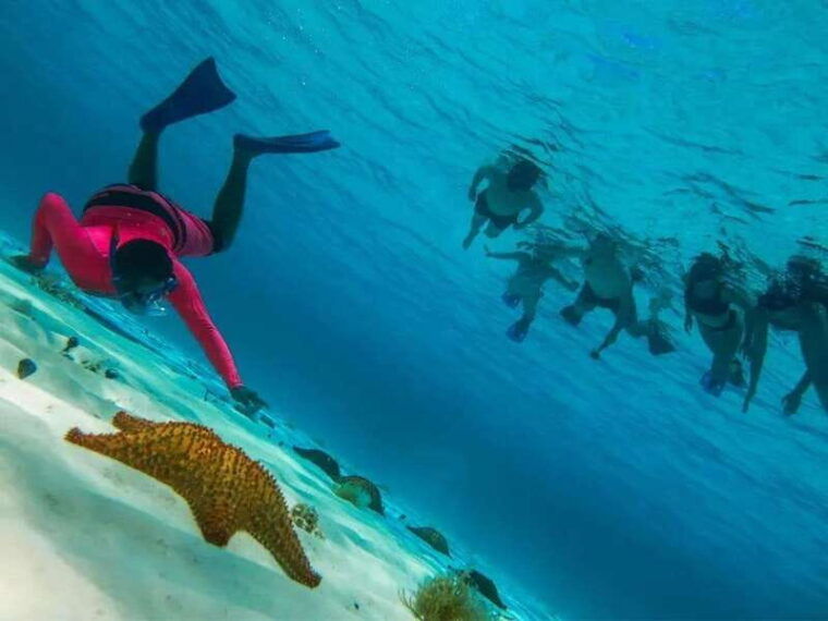 cozumel-snorkeling-in-reefs-visit-to-el-cielo
