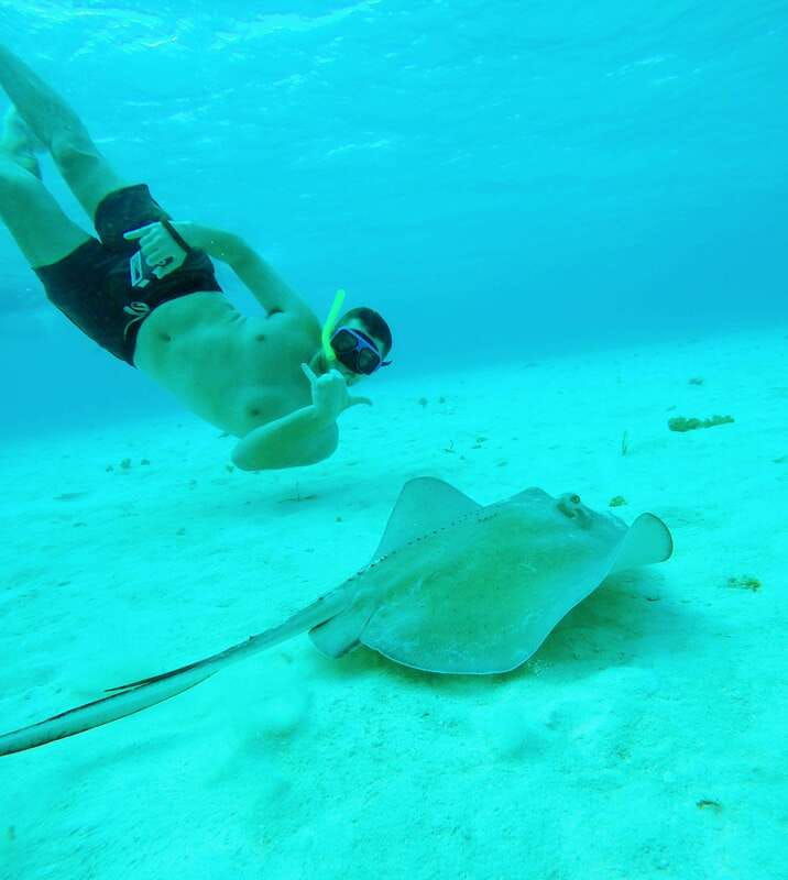 cozumel-starfish-stingrays-and-turtle-bay-snorkeling-tour