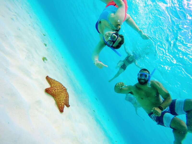 cozumel-starfish-stingrays-and-turtle-bay-snorkeling-tour