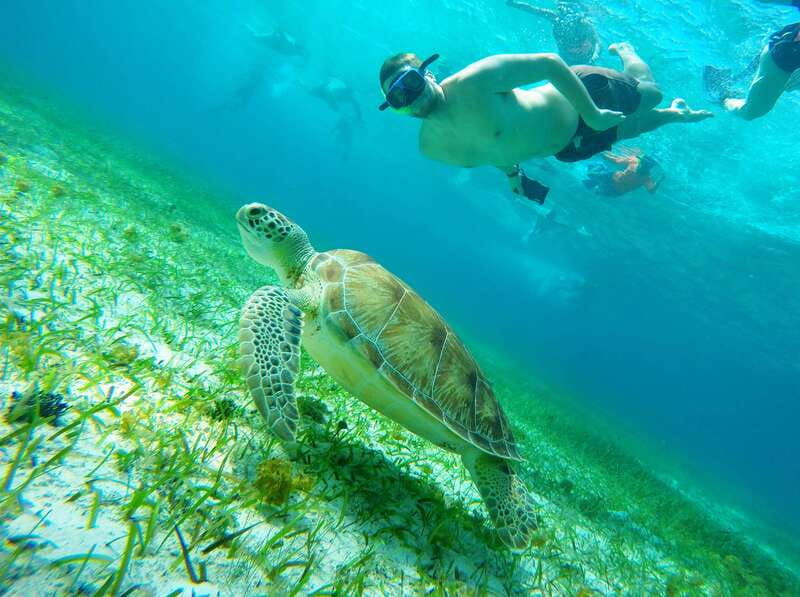 cozumel-starfish-stingrays-and-turtle-bay-snorkeling-tour