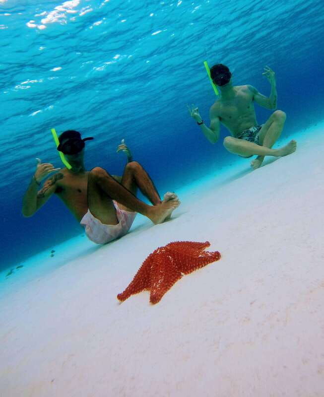 cozumel-starfish-stingrays-and-turtle-bay-snorkeling-tour