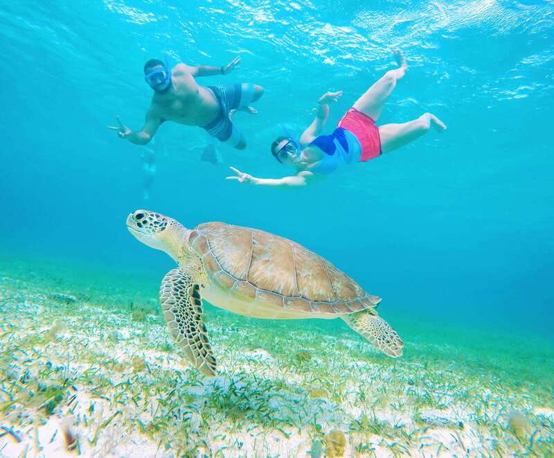 cozumel-starfish-stingrays-and-turtle-bay-snorkeling-tour