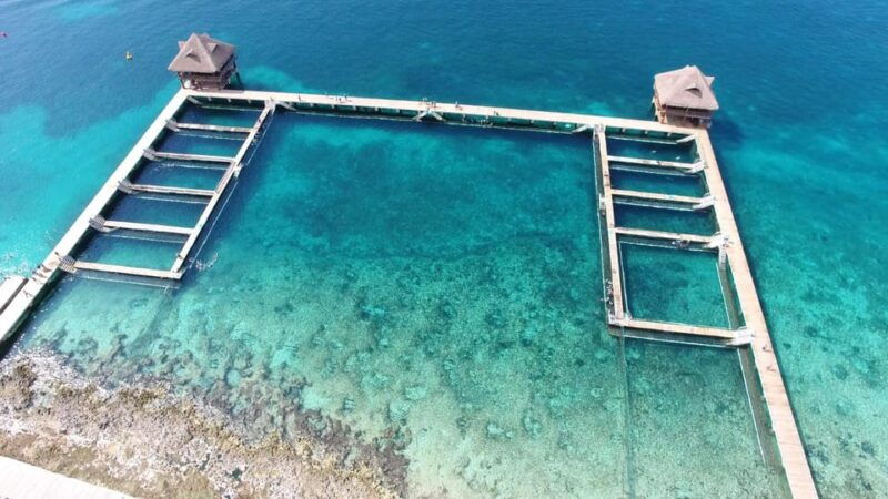 cozumel-tour-of-chankanaab-natural-park