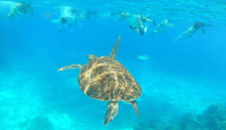 cozumel-tour-to-the-sky-palancar-and-colombia-by-traditional-speedboat
