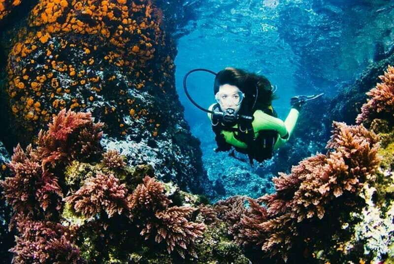 Cozumel: Twilight and Night Dive for Certified Divers - Key Points