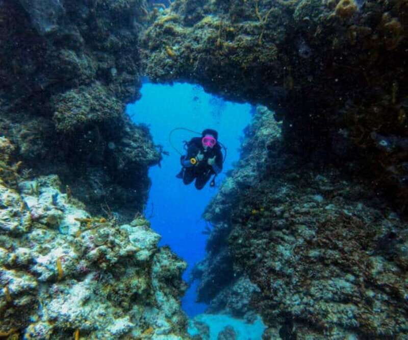 Cozumel: Two reef dives in Marine Park, certified divers - Introduction: A Deep Dive into Cozumels Marine Magic