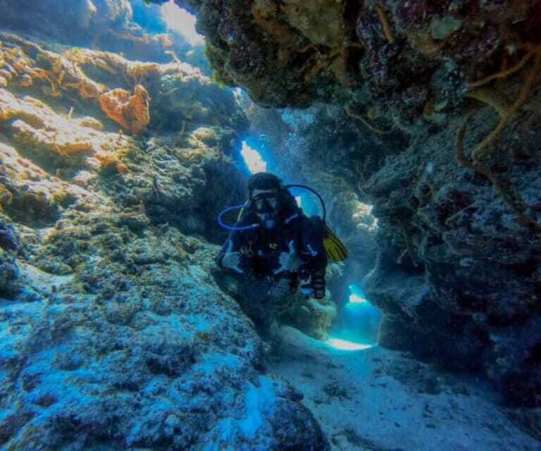 Cozumel: Two reef dives in Marine Park, certified divers - FAQ