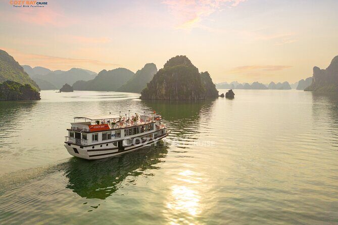 Cozy Bay Cruises - Best Boutique Cruise in Halong Bay 2D/1N Tour - Key Points