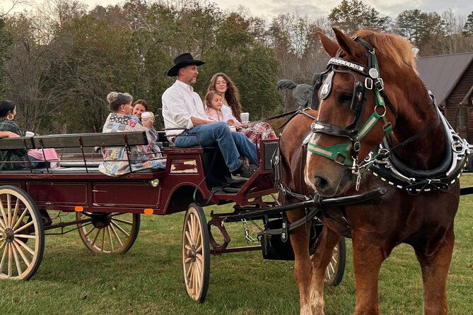 cozy-farm-experience-with-wagon-wheels-and-acoustic-meal