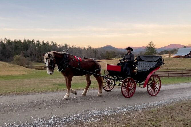 cozy-farm-experience-with-wagon-wheels-and-acoustic-meal